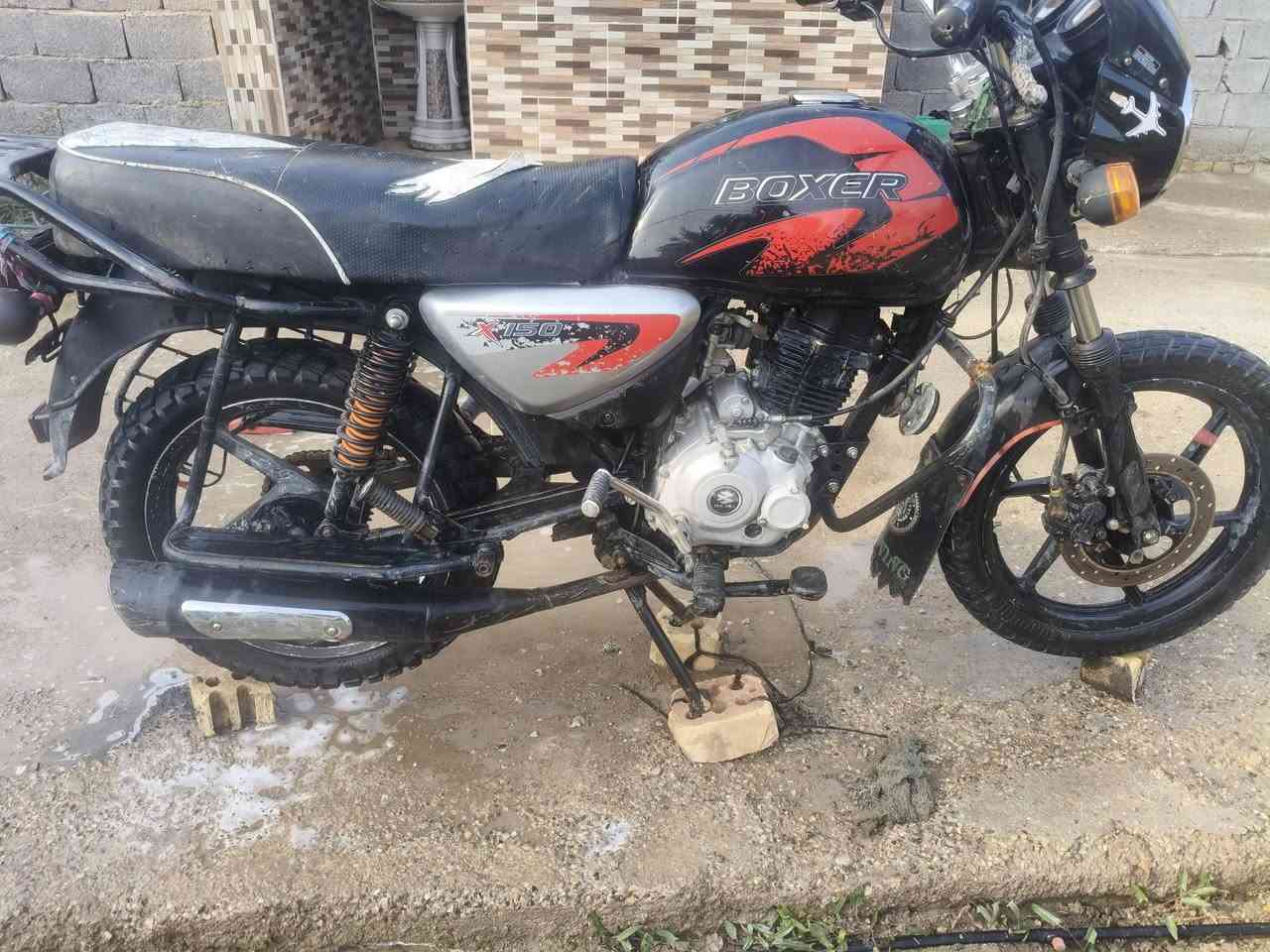 ﷽  وينه ليدور كفاله عامه 
بوكسر جبلي  نضيفه كلش مستعجل عله بيعتهه 2020 كلشي شغال بيهه 

مكاني واسط الزنابره رقمي ***********  مامتواجد ع الخاص،،  نضيفه كلش  انضف من   الفيديو؟  اوراق استنساخ اتعهد من السرقه او الغرامه ومن كلشي؟ ستوني طلعته من المخزن صارله سنه مضمومه
