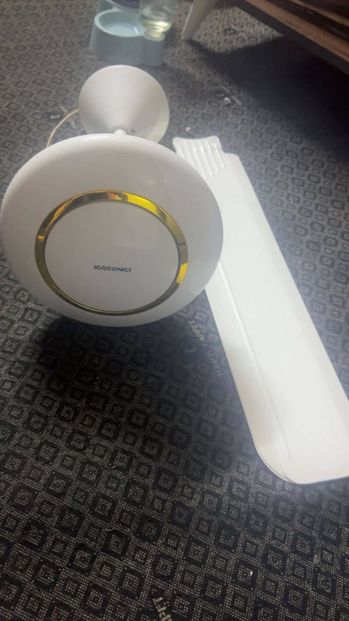 كلمن وسعره بغداد العامريه واكوتوصيل حسب المناطق


**إذا كنت صاحب هذا الإعلان وتريد حذفه لأي سبب، رجاءا أرسل رسالة إلى الدعم الفني**