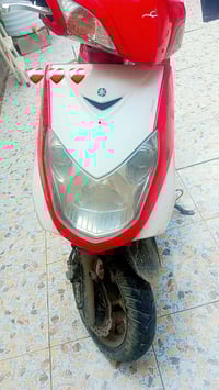 سكنس فحل • شغاله • بوشه ٥٨