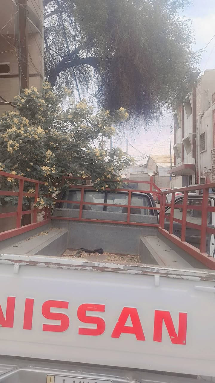 السلام عليكم للبيع بيكب نيسان موديل 2002 اللون ابيض السياره تاجيه على  صفحه خفيفه  معمره تعمير  جيد جدا مكينه وكير واكسل شرط الضمان التبريد بي عطل بسيط     السعر 65 ورقه وبي مجال العنوان بغداد كراده خارج تلفون ***********
