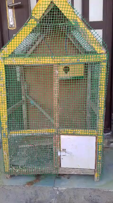 قفص الطيور البيع سعرة ٢٥ مكان عويريج قرب علوة الرشيد


**إذا كنت صاحب هذا الإعلان وتريد حذفه لأي سبب، رجاءا أرسل رسالة إلى الدعم الفني**