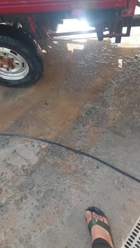 ستوته دايوان • وراقه • بعقوبة كاطون الرحمة