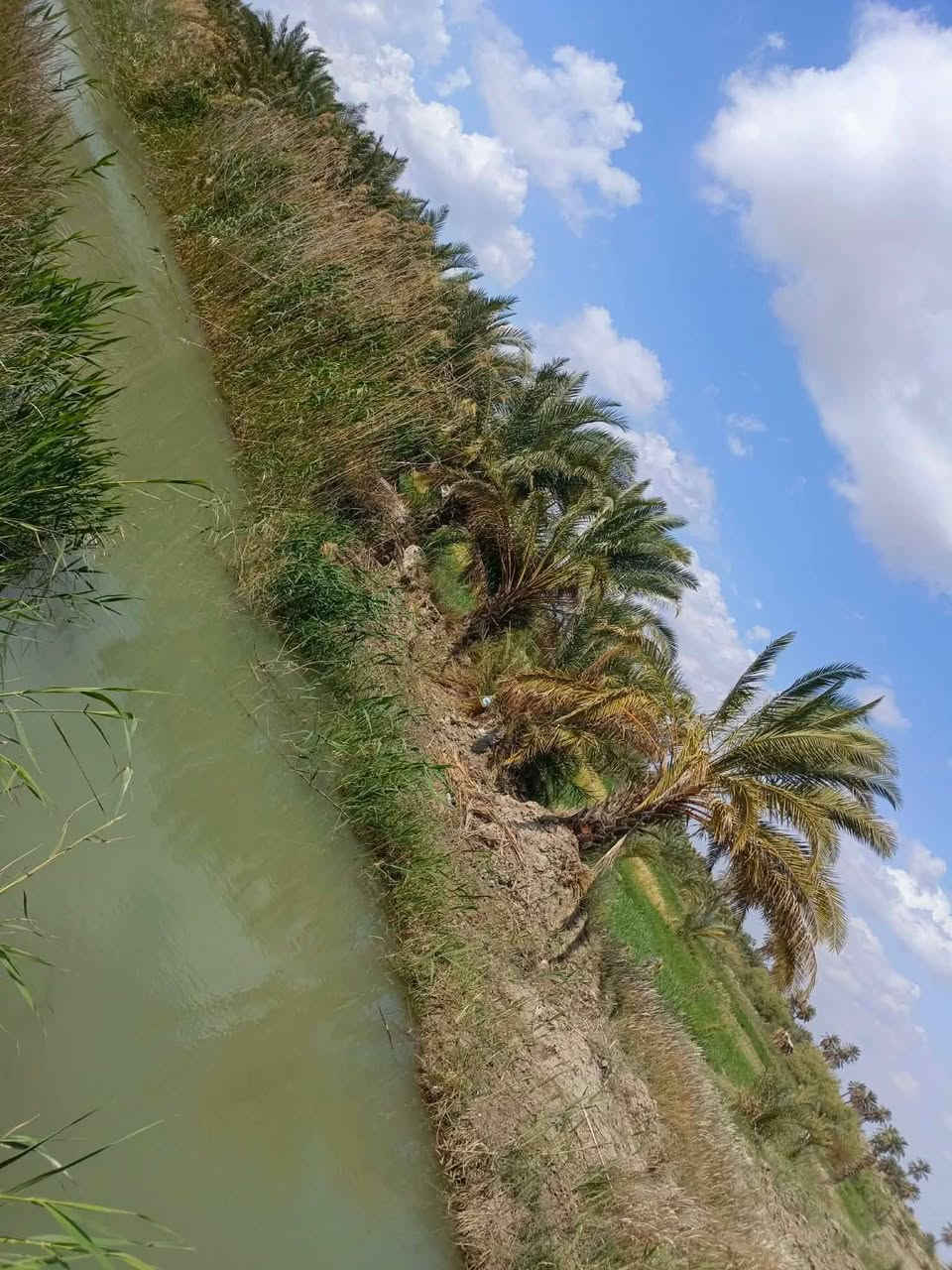 بستان مساحة 6 دونم
قرب شركه السطح الامين ال محينه نزلت النغيمشي قرب سكت القطار بستان زراعي يوجد فيه ((نخل حمال بنوعيات جيدة))  محوط بنهر واجهته على الشارع سبيس 
خدمات ماء + كهرباء
وماطور سقي كلشي متوفر
 الدونم الواحد ب 35 وبي مجال
السعر الكلي 200 مليون وبي مجال
***********
