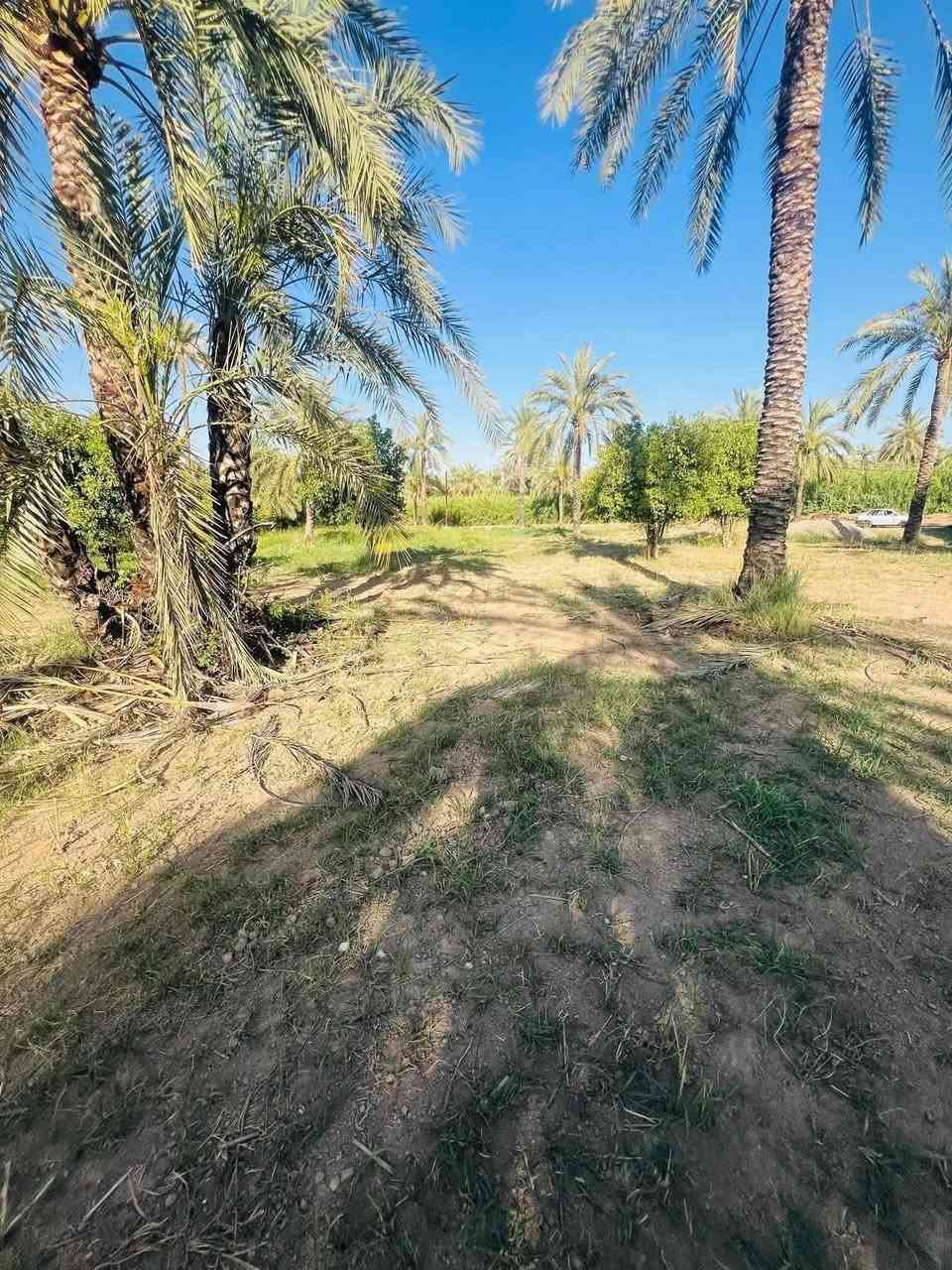 يا الله السلام عليكم 1600م تحويل بلاسم طابو 25 وجه 23
العنوان بغداد المدائن سلمان باك منطقه الجعاره قرب شارع سيد علي للاستفسار ***********
