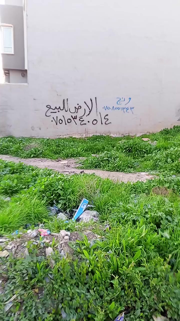 ***********
***********
