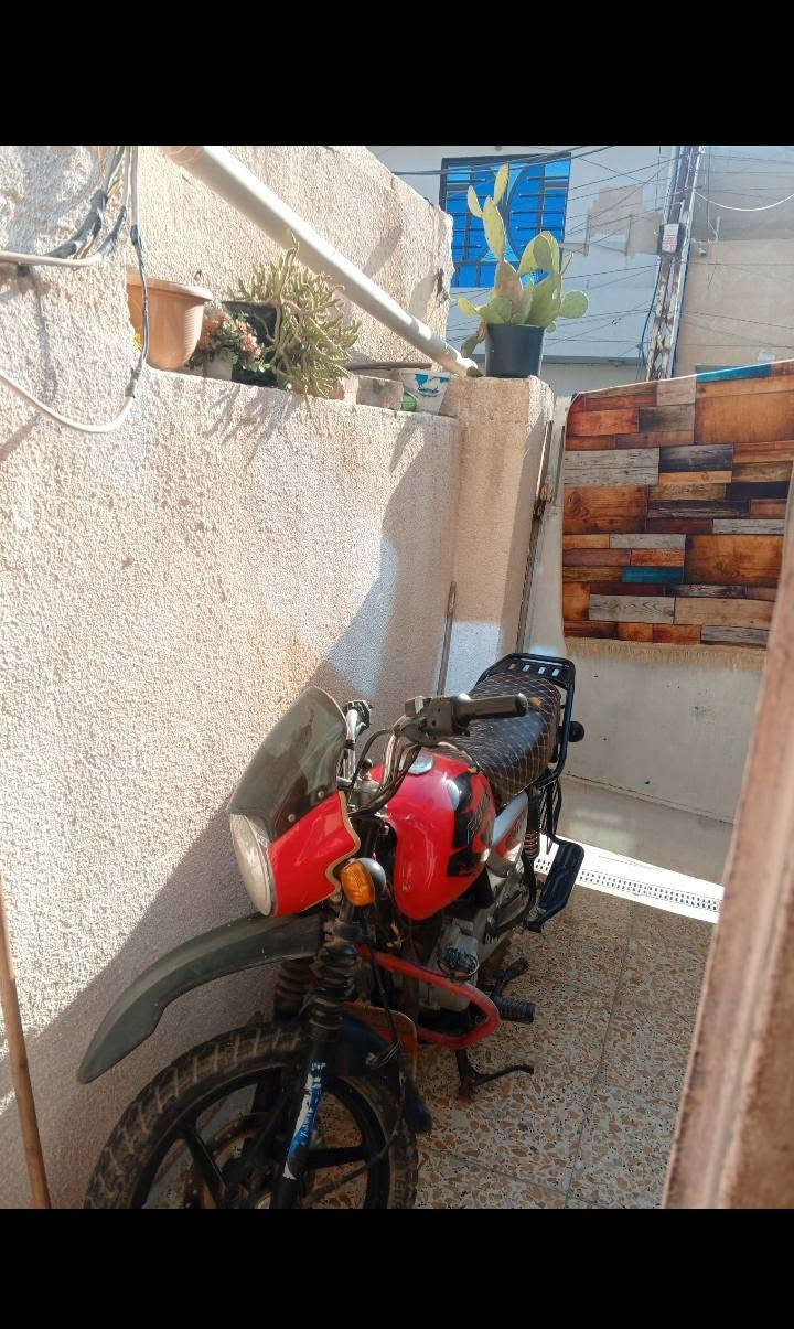 السلام عليكم 
دراجه بوكسر جبلي 21لبيع 
السعر 650الف بيه مجال 
الهاتف المحمول ‏‪***********
العنوان بغداد زعفرانيه
