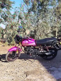 ٢٠٢٥ • فول • الحيدريه