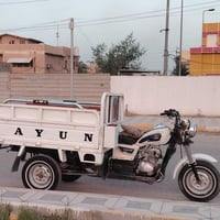 ستوته • مديل ١٩ • مرقمه