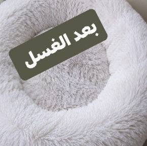 زواليكم علينا... والنظافة مضمونة 🌸 للعلم تخفيض 
للمواكب الحسينيه ،👆👆👆👆👆👆👆👆👆

لا تتعبون بالتنظيف، إحنا نهتم بزواليكم ونرجعها كأنها جديدة.
اتصلوا الآن للحجز والاستفسار: 📞 ***********
فدك الزهراء لغسيل الزوالي والسجاد ✨
زوالي 
جودليات 
بطانيات 
تخم 
بردات 
ملابس شتائيه وصيفيه 
غسل درجه اولى 
بابل القاسم 
للعلم المتر المربع ب الف دينار غسل وتعطير وشطف وخدمه توصيل ذهابا وإيابا علينه
