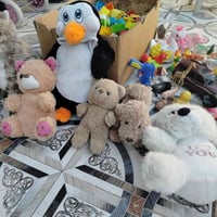 للبيع • توصيل • جميع المحافظات