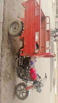 ستوتة ام الطير • موديل 18 • اوراق كاملة