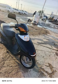 سبيسي • بالكرتونه • كفالة عامة