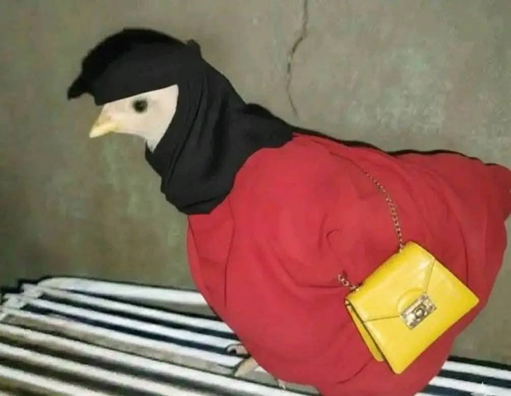 سعر الزووج 5الاف ابو عنك عمر شهر 
ملقح
***********
