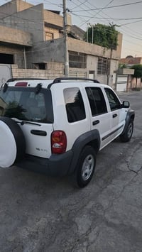 ليبرتي • ٢٠٠٤ • رانية