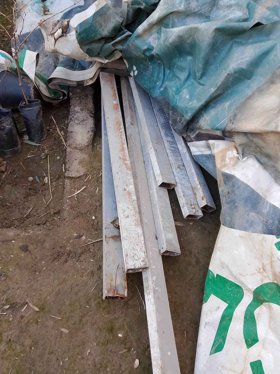 للبيع جينكو عدد ١٠
رصطات حديد للستفسار ***********
