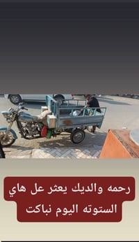 ستوته • مفقودة • مكافأة