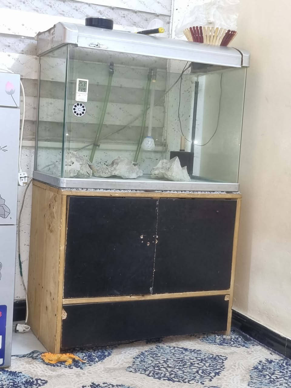 غراض البيع كلهن مضيفات السعر عله الخاص


**إذا كنت صاحب هذا الإعلان وتريد حذفه لأي سبب، رجاءا أرسل رسالة إلى الدعم الفني**