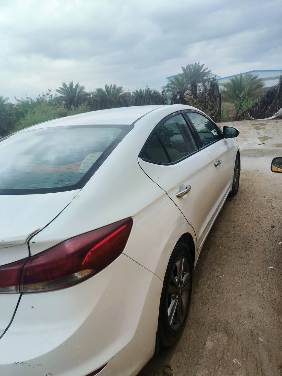 اسلام عليكم النتره خليجي2018 فول عده البصمه للبيع او مراوس بسورنتو سنتافي بيه صفحه رش صبغ بدون دواخل  وبيه مكان بارد مكاني كربلاء سعر البيع 125 للستفسار اكثر لاتصال ***********
