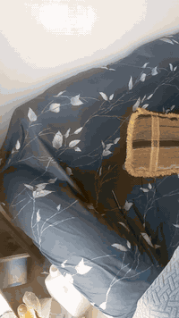 السلام عليكم ديوان سبعه متر يرادله تغليف كل عيب مبيه سعره ٧٠وبيه مجال ***********
