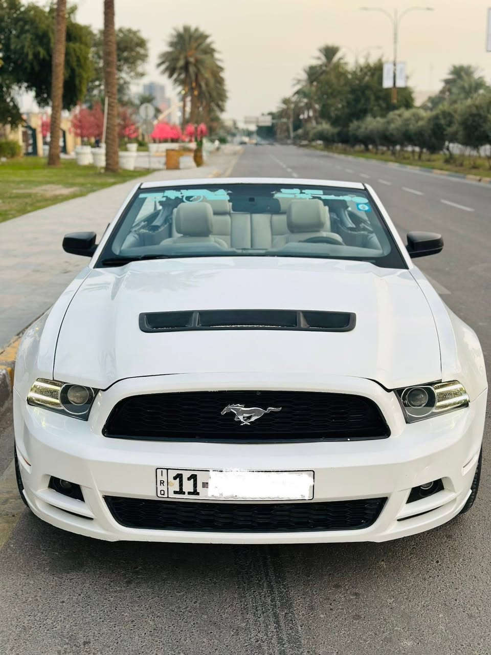 السلام عليكم اخوان
موستنك 2013بريميوم 
كير اوتو
ماشيه 73
فول مواصفات
داخل لون ابيض 
كشنات جلد
كشن كهرباء
دشبول 7 الوان
دشبول المنيوم
شاشه 
كامره 
عليه بنيد GT
عليه سبويلر GT
ويل 20 تو سايز
 رقم بغداد تحويل مباشر هزه جديده 
اخوان سياره بيه قطعتين صبغ وقطعه بنيد تحديث GT
لغود شواصي مكفوله 
 وعندي سونار بيه هم 
السعر 105 وبيه مجال
 ماعتقد اكو هيج نضافه بهيج سعر 
مكان السياره المنصور 14 رمضان
للاستفسار ( ***********)
