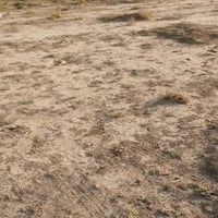 السبل الثانية • ٢٠٠م • مقابلة المكتب