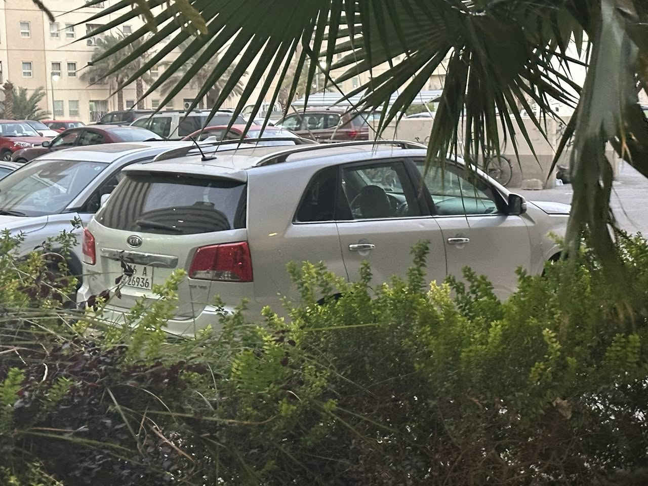 سورنتوا رقم قادسيه بسمنا. اعلى فئة مواصفاتها.امريكي صبغ احزام..
السعر ..١٢١ قفل قفل قفل..٦ سلندر ٧ راكب مكانها بسمايه…***********
