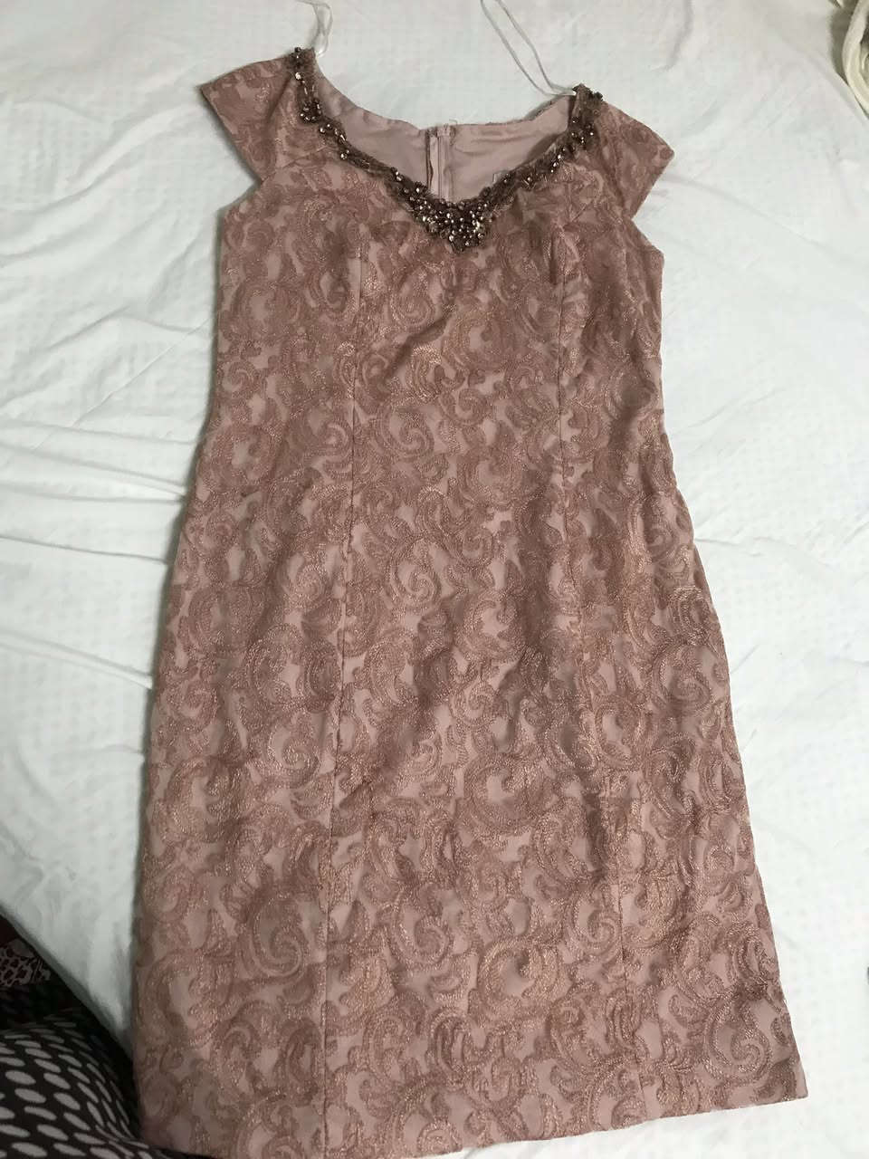 فساتين الواحد ع 4


**إذا كنت صاحب هذا الإعلان وتريد حذفه لأي سبب، رجاءا أرسل رسالة إلى الدعم الفني**