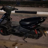 ثعلب • اسود • مكفول مكينه/شاصي