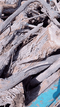 حطب لبيع لدرب لواحد ب35رقم رقم الهاتف 07749618365