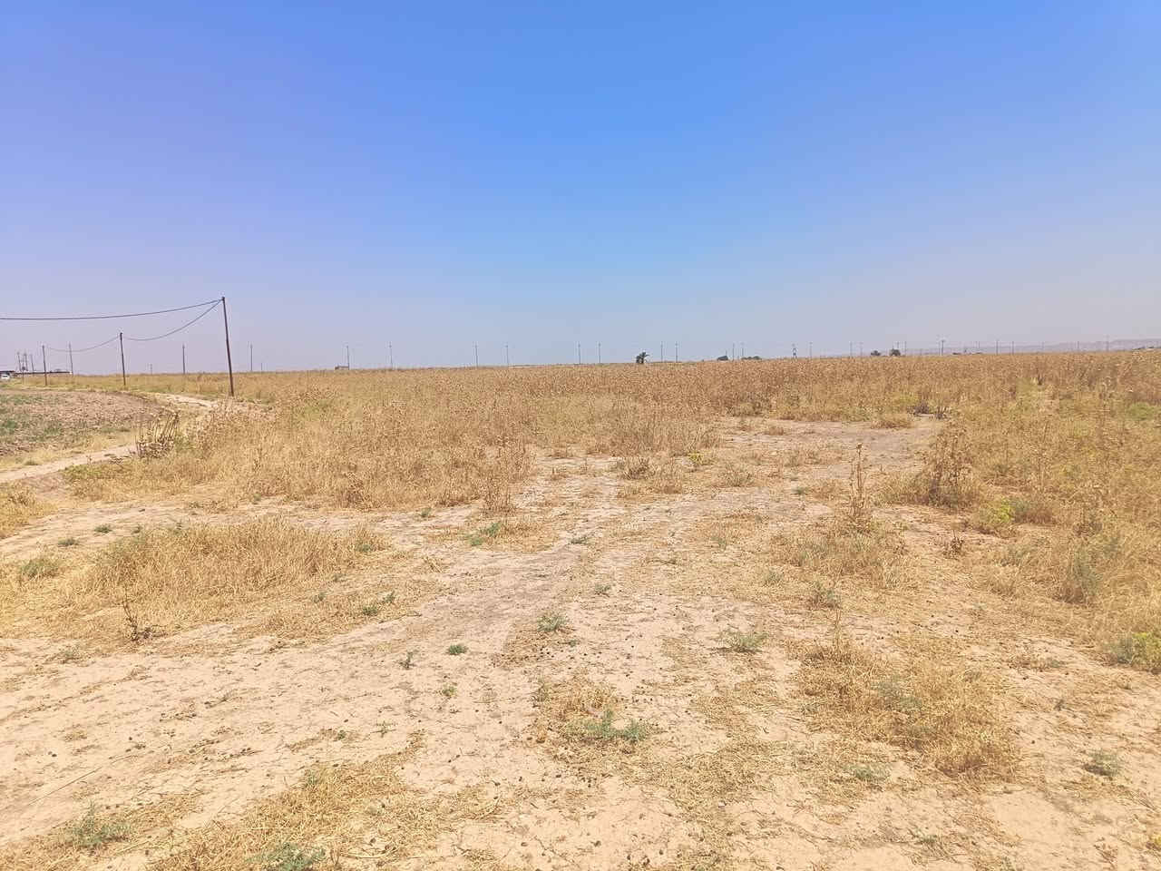 قطعة أرض زراعي
مساحته 11،5 دونم
طابو صرف شرط التحويل
الموقع طريق جرداغلي
بسعر مناسب
للاستفسار الاتصال على الرقم
***********
