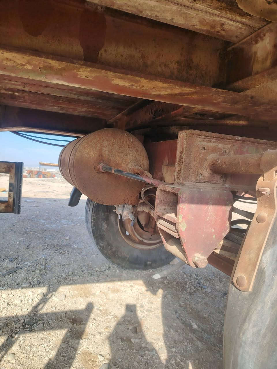 عربانه وربيه بعده جديده البيع ***********
