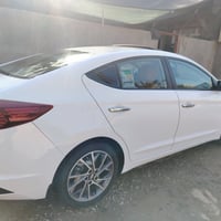 الانتره • ٢٠١٩ • مكفوله