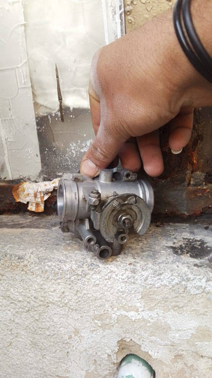 تويتر مال سكنس فحل وبوشه بلاديه مال سكنس فحل للبيع *********** مكان بغداد المدينهي
