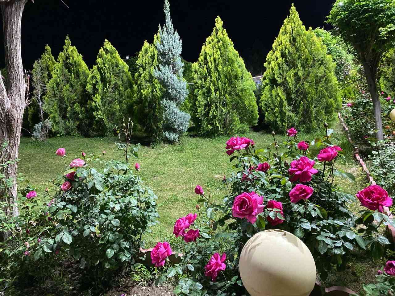 🌙✨ العيد قرب… والفرحة أحلى بالمزرعة! ✨🌙
مع اقتراب العيد، اجمعوا أهلكم وأصدقاءكم واقضوا أجمل الأوقات وسط الطبيعة والهدوء 🌳🌿
🎉 جلسات مريحة
🌿 أجواء عائلية جميلة
📸 مكان رائع للصور والذكريات
سارعوا بالحجز قبل العيد لأن الأماكن محدودة!
📩 للحجز والاستفسار راسلونا على الخاص.
ننتظركم لتعيشوا أجواء العيد ويانا بأجمل صورة. 
للحجز ***********++واتساب
العنوان خلف مطعم ميديا السياحي منطقة حه سار 
المزرعه للسفرات فقط غير مخصص للحفلات
بيارق الخير لتأجير المزارع
