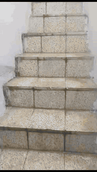 شقة للإيجار • زنجلي • شارع معمل الببسي