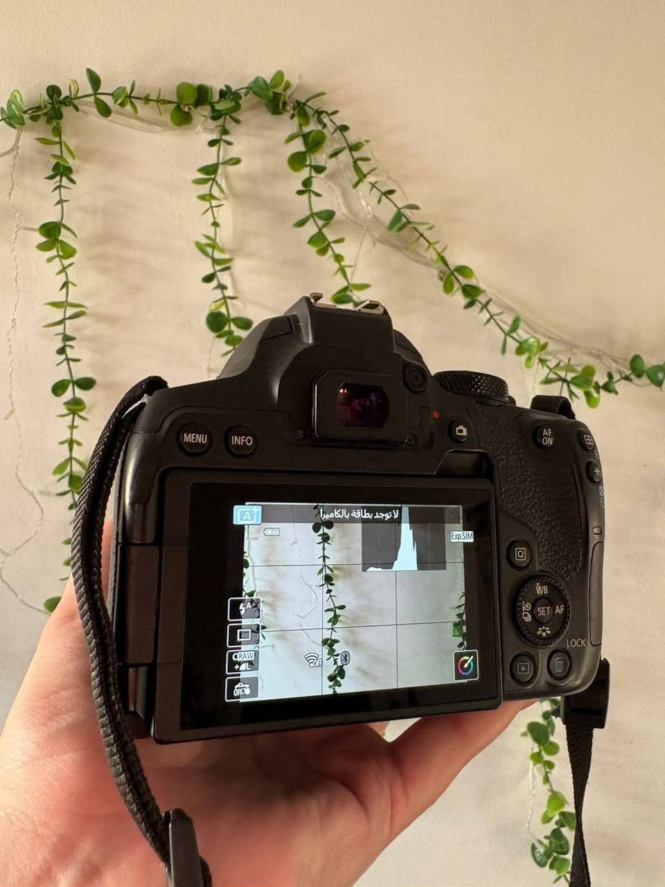 Canon 850D
مع 3 عدسات 
50mm
10-18mm
18-135mm
شاحنة مع 3 بطاريات
حقيبة
ادوات تنظيف
بطاقتين 64،32 كيكا بايت

سعر مليون 150 

الاستفسار ***********
