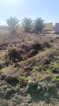 دونم زراعي البيع  بغداد الراشديه  الخدمات ماء وكهرباء وتبليط  07722673...