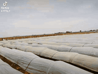 مزرعه للبيع بيه مرتسم 
مساحه 40دونم 
بيه حنطه 10 دونمات 
بيت مغبط 3غرف وصاله وديوانيه وسياج 
مكان المزرعه شارع نفط 
***********
