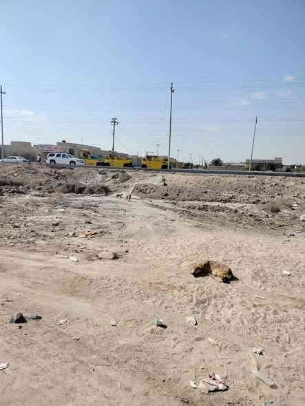 السلام عليكم 
* توفر لدينا دار سكن للبيع بمساحة 280م 
* جنس العقار طابو صرف زراعي 
* العنوان البصرة ابو الخصيب العوجه قريب جدا على الشارع العام السايدين مكان مرتب
مع توفر كافة الخدمات 

* يتكون البيت الطابق الاول كراج واستقبال وصاله ومطبخ وغرفتين منام وصحيات داخليه وصحيات خارجيه 

*الطابق الثاني غرفتين منام  وصحيات وصاله 
السعر المطلوب 140 مليون 
للاستفسار اتصل *********** وتدلل البصرة
