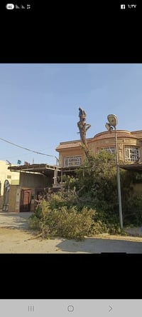 قطع الاشجار مجاني07748898774