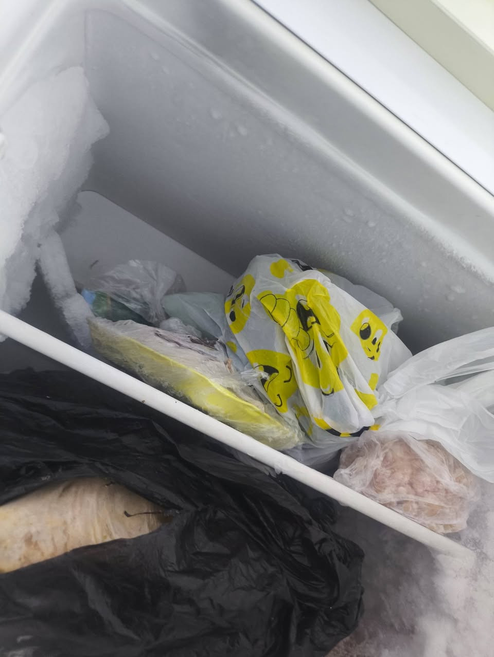 ثلاجة للبيع بسعر 100 وبيه مجال الثلاجه حجمه زين  وتجميده كلش زين مكاني بغداد


**إذا كنت صاحب هذا الإعلان وتريد حذفه لأي سبب، رجاءا أرسل رسالة إلى الدعم الفني**