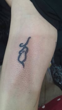 صالون الملكة • الخطيب الزراعي • أسواق أم علاء