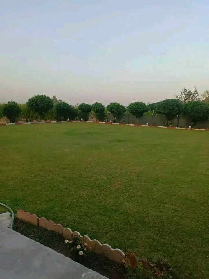 مزرعه للبيع مساحه ٣٣٠٠م زراعي في كركوك طريق اربيل قريه حصار مسافه من شارع بيها بيت ومسبح والاشجار مثمره متنوعه وحديقة حلوه وبئر ماء وكهرباء سعره ٧٠ مليون للمزيد من المعلومات اتصال على رقم مبايل ***********
