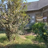 الإبراهيمية بزل مطشر • ١١٠٠م • واجهة تجارية ٢٦م