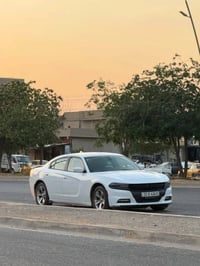 جارجر SXT • ٢٠١٦ • رقم اربيل