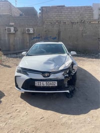 كورله هايبرد • ٢٠٢٤ • البصرة الجبيلة