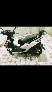 سكنس فحل • كافاله عامه • بدون نقص