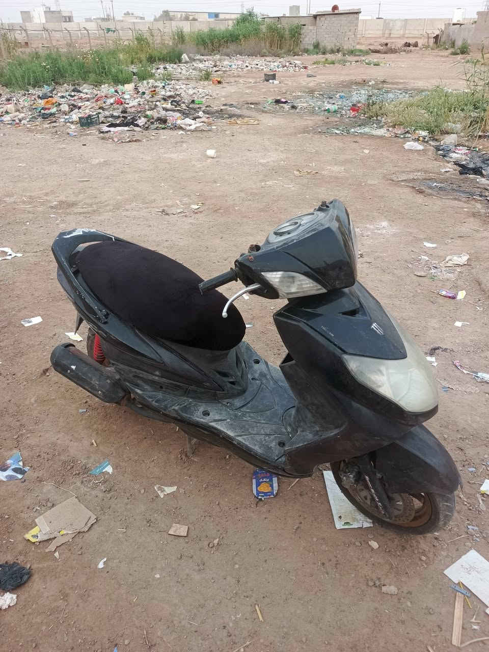سكنس فحل البيع مكاني بغداد متواجد ع وتساب ***********
