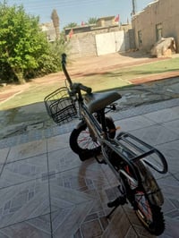 باسكل • للبيع • سعر خاص