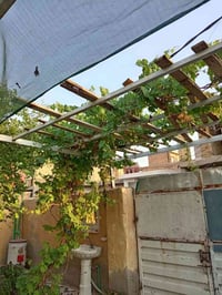 زويرجات • ٢٠٠م • طابو صرف